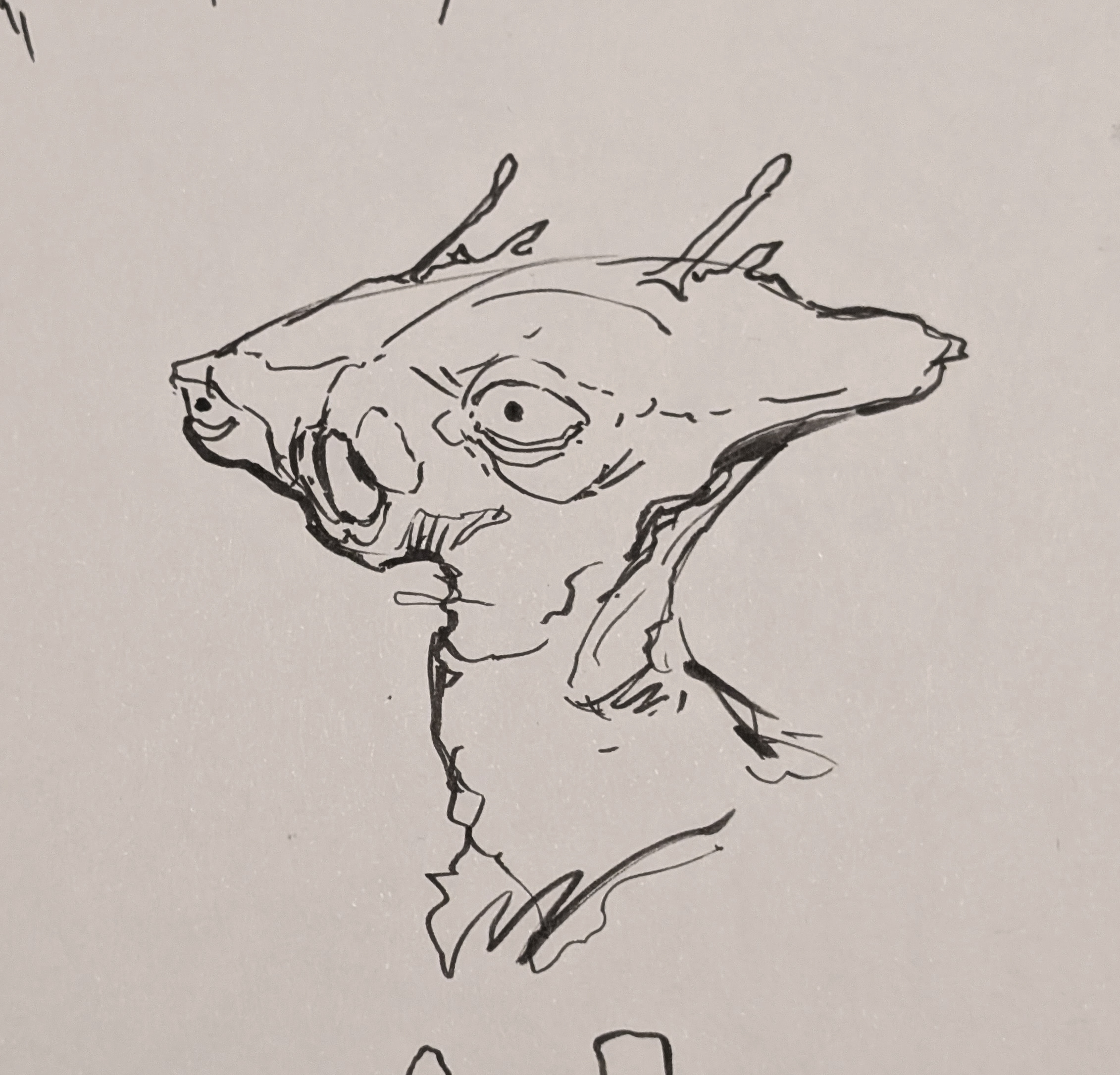 sketches (05)